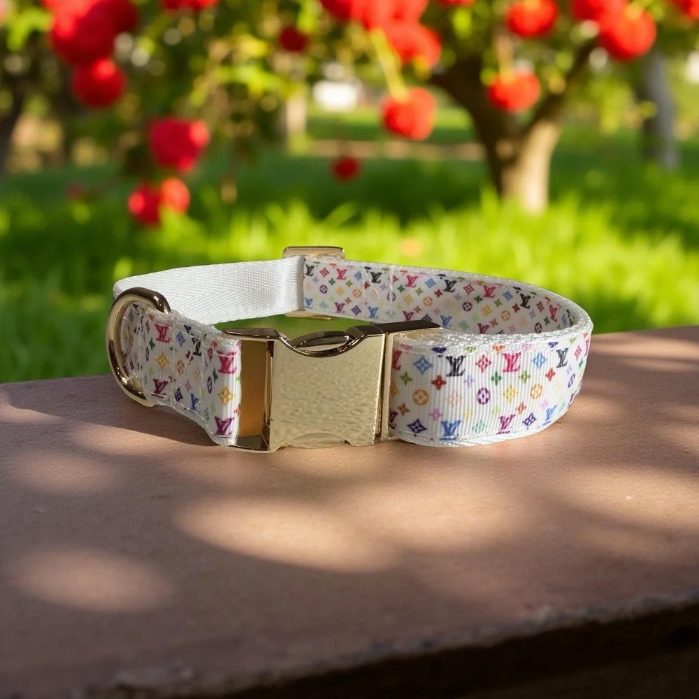 Luxury Dog Collar, Size XL, Colorful, 1
